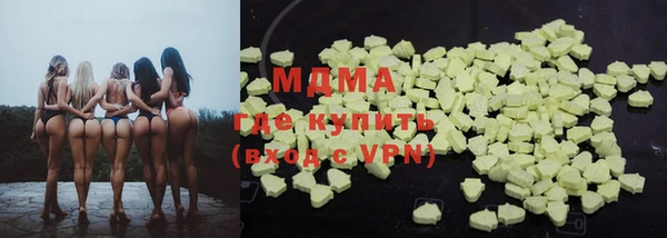 индика Бородино