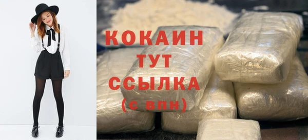 мдпв Богданович