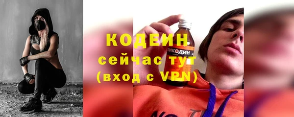 индика Бородино