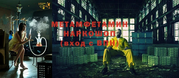 индика Бородино
