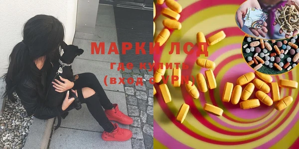 мдпв Богданович
